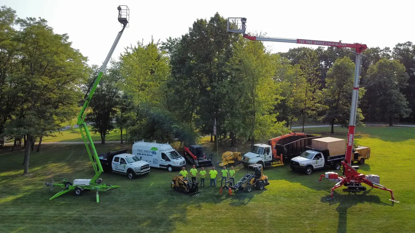 How tree service blogs will help you outrank the competition