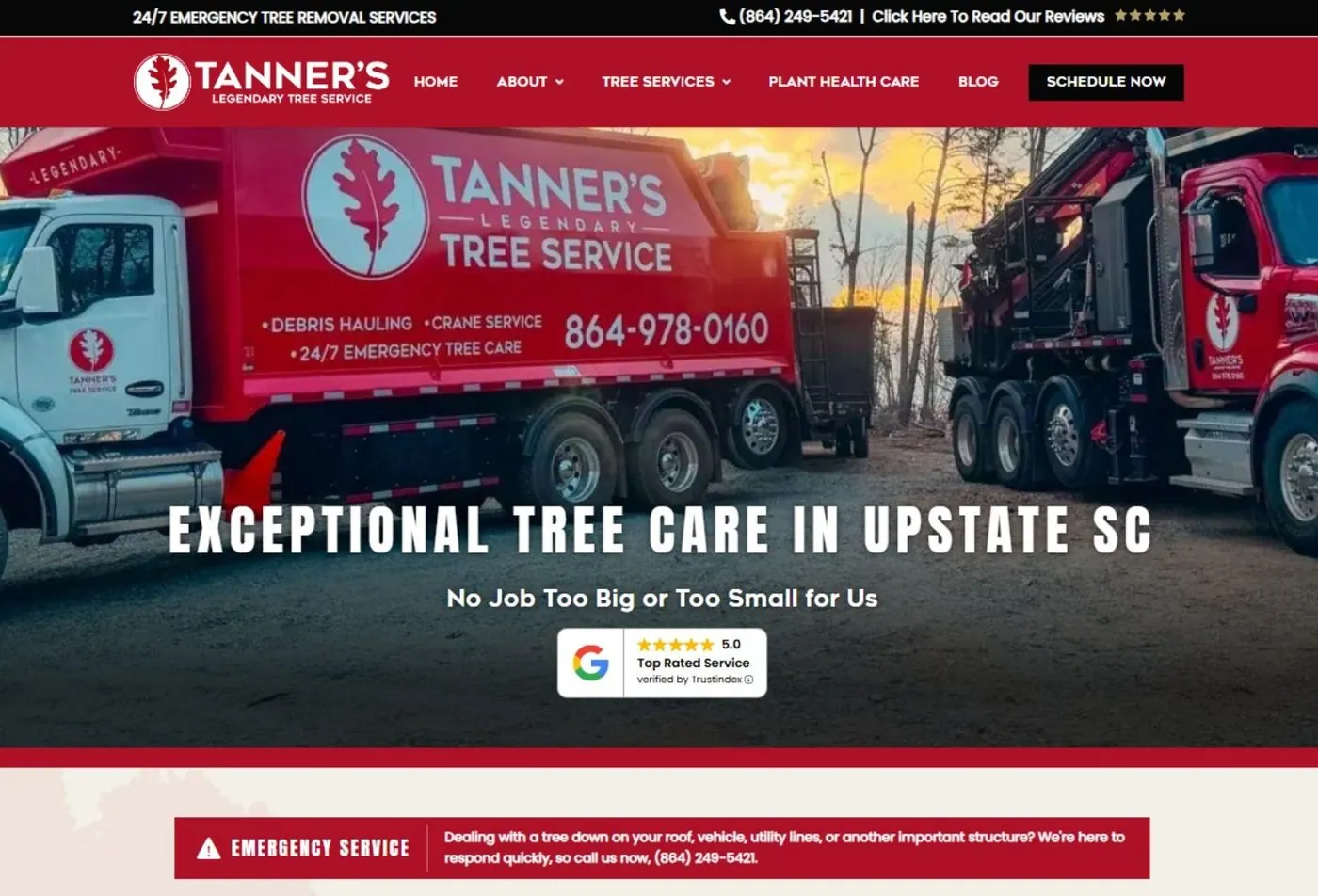 Logo for Tanners Legendary Tree Service, indicating expertise in tree care.