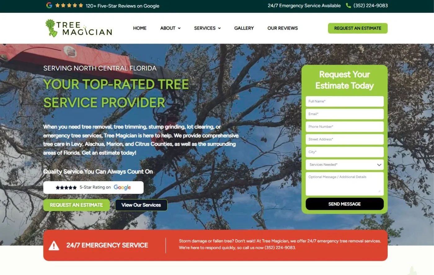 Simple logo for Tree Magician, representing a tree service brand.