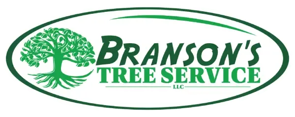 Branson's Tree Service logo