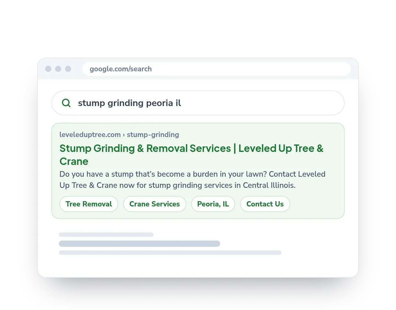 Organic results: Your service pages in Google search