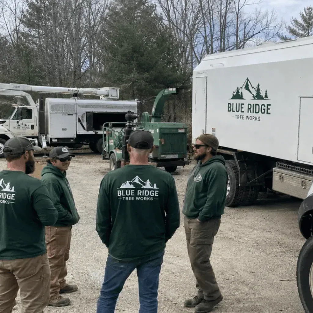 Valpo Agency guide to growing a tree service company showing professional fleet of branded tree service trucks